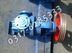 NYP內(nèi)轉(zhuǎn)子泵