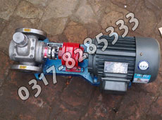 不銹鋼圓弧齒輪泵