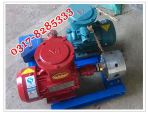 不銹鋼圓弧齒輪保溫泵